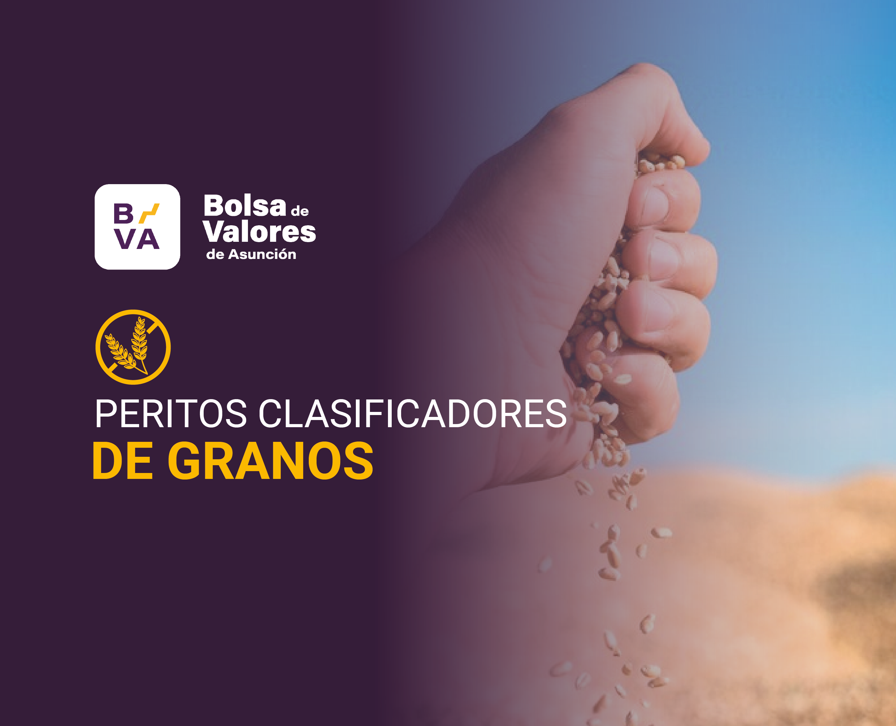 CURSO%20DE%20PERITOS%202025_Mesa%20de%20trabajo%201%20copia%206%20%281%29.png